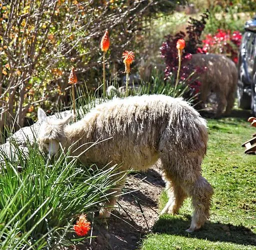 Tunupa Hotel Ollantaytambo